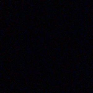 Meet your Posher, Dwight